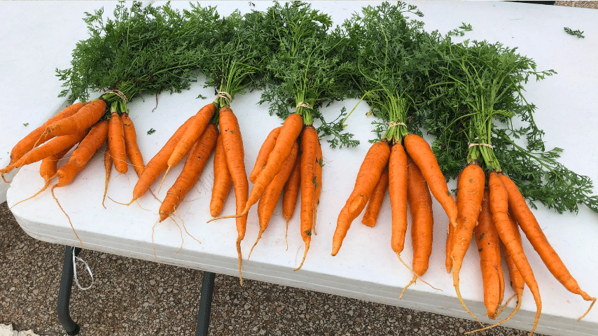 fresh produce - SE Topeka market - Southside filling station