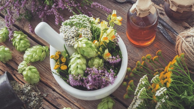 SENT Website Photos - website size (1366 x 769 px) - Holistic Health Consulations (5)